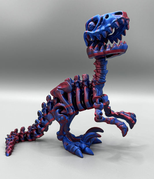 Flexi Velociraptor Skeleton | Articulated Dinosaur gift with Movable Jaw – Multicolour Jurassic Park Inspired | Flexi Factory